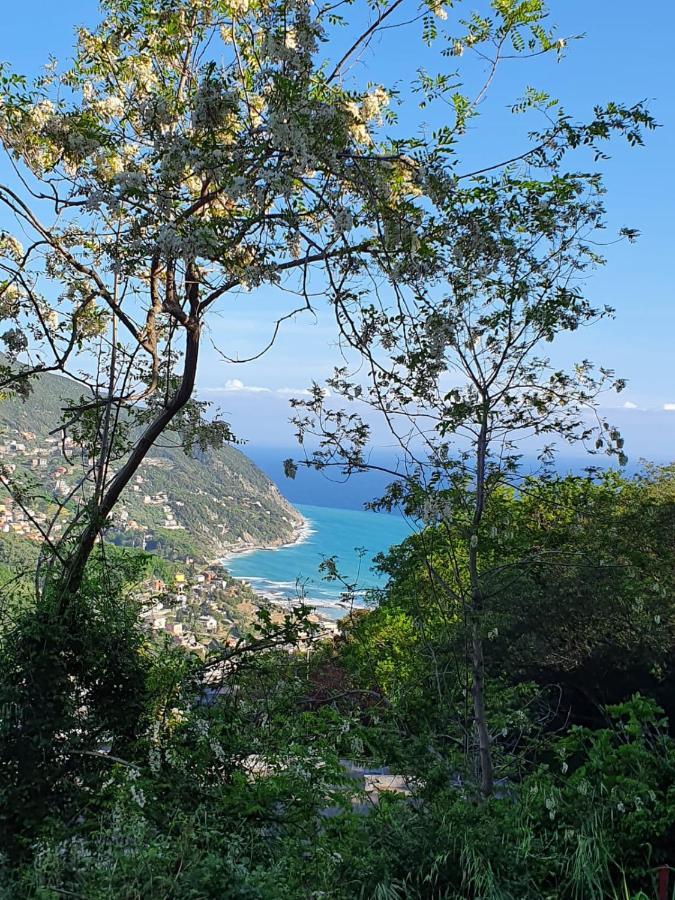 Ca Zelinda House Holiday Moneglia Buitenkant foto