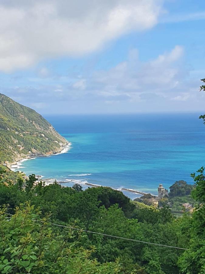 Ca Zelinda House Holiday Moneglia Buitenkant foto